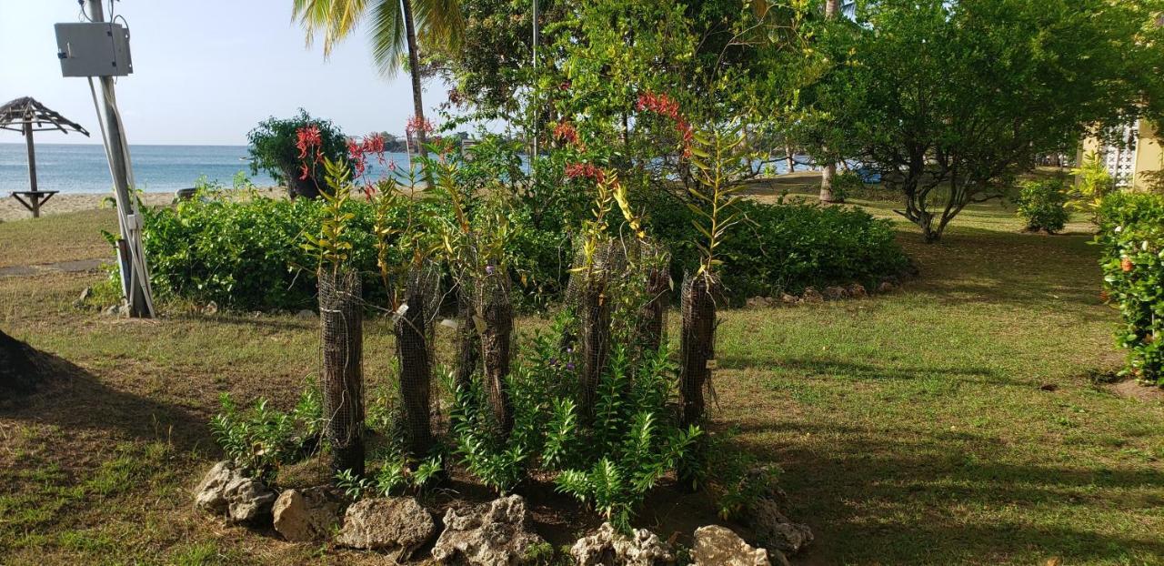 Starfish Tobago Hotel Black Rock ภายนอก รูปภาพ