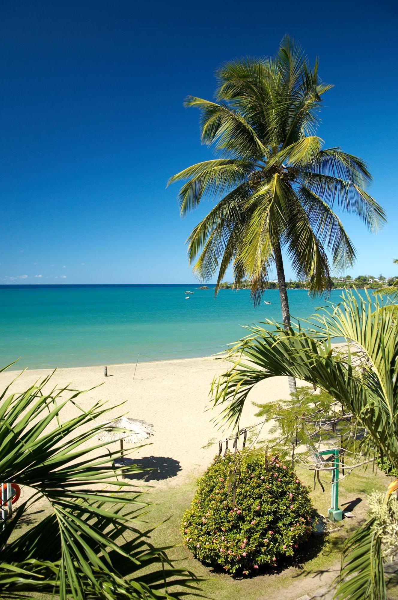 Starfish Tobago Hotel Black Rock ภายนอก รูปภาพ