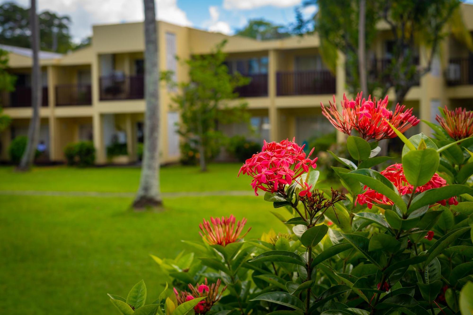 Starfish Tobago Hotel Black Rock ภายนอก รูปภาพ