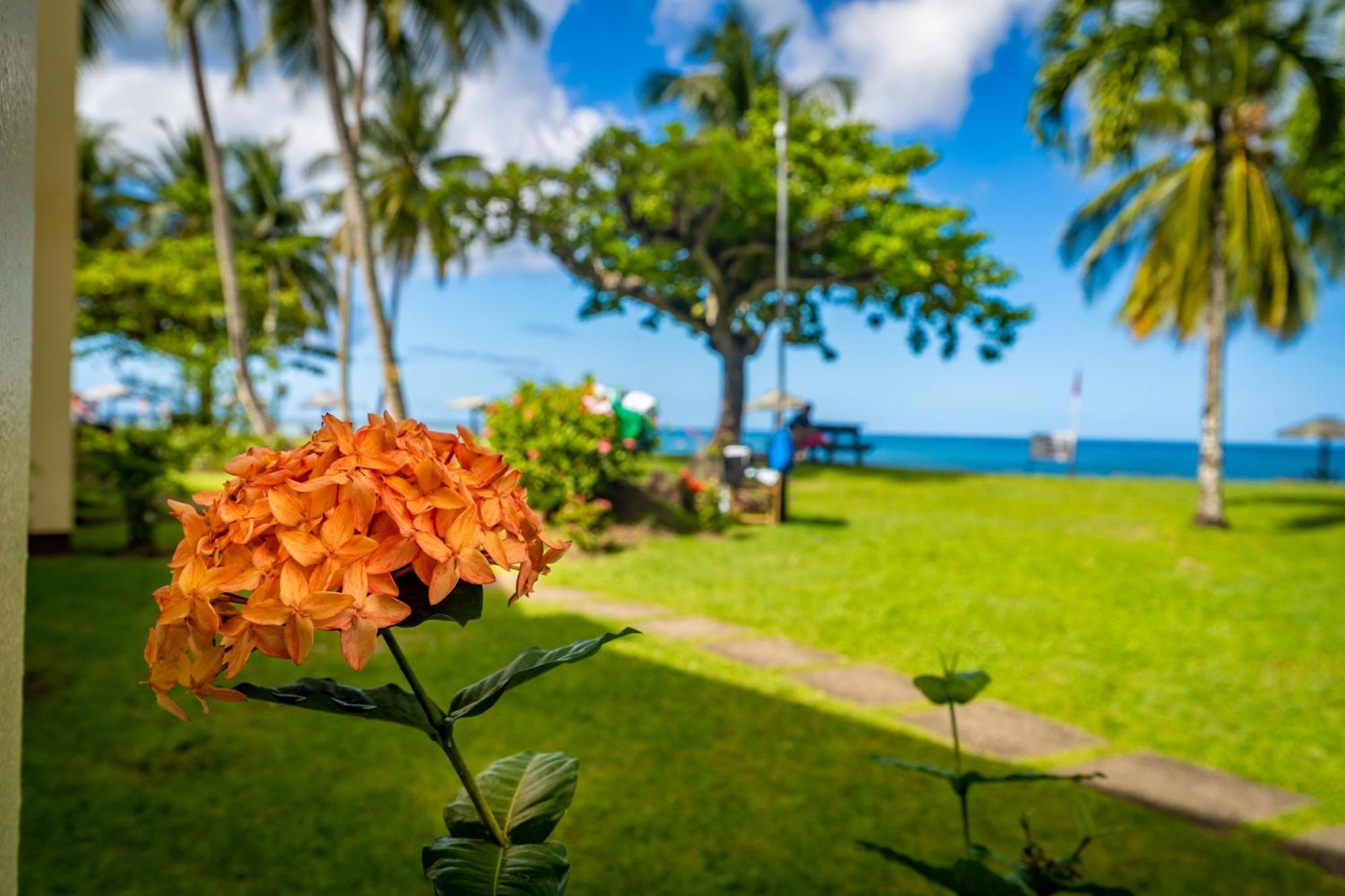 Starfish Tobago Hotel Black Rock ภายนอก รูปภาพ